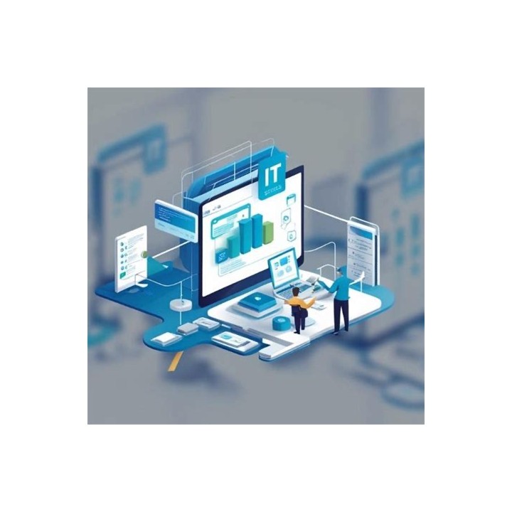 Consulenza Informatica 